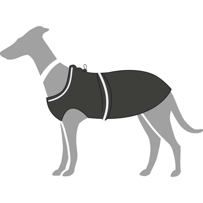 Hunde-Regenmantel Uppsala Rain