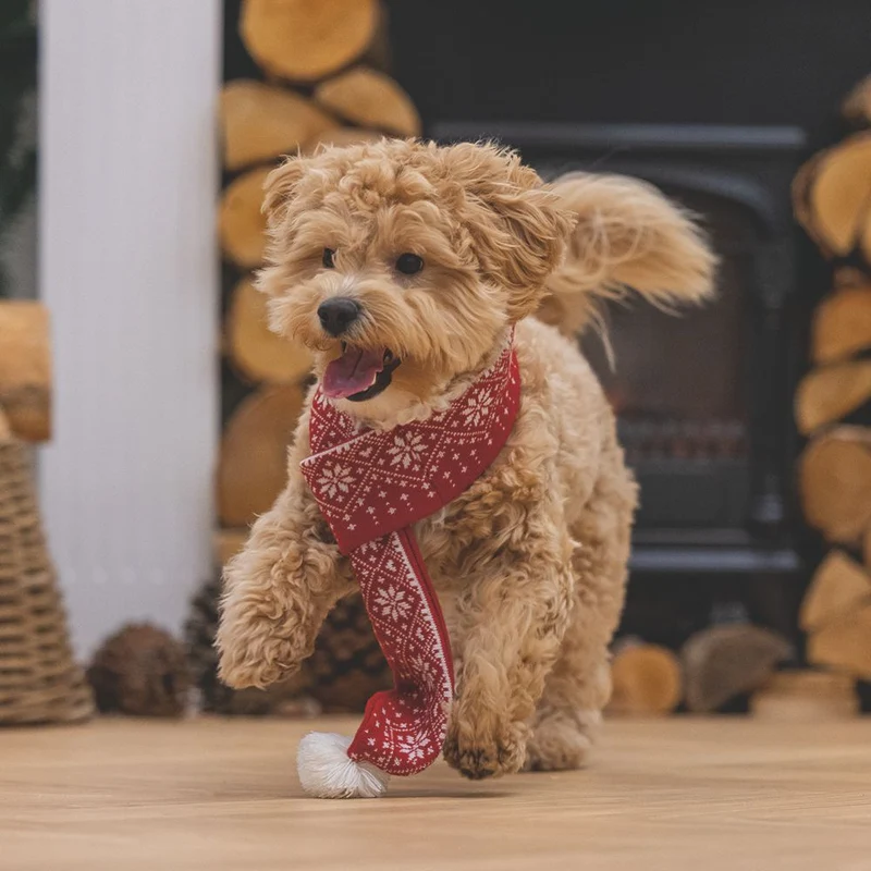 Beeztees XMAS Strickschal für Hunde - 75 cm - Weihnachtsschal Hundeschal Bommel