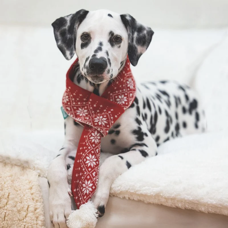 Beeztees XMAS Strickschal für Hunde - 75 cm - Weihnachtsschal Hundeschal Bommel