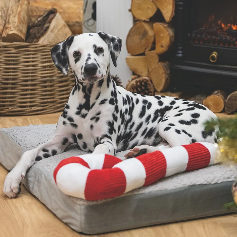 Beeztees XMAS Plüsch-Hundespielzeug Zuckerstange 33+50 cm Kuscheltier Plüschtier