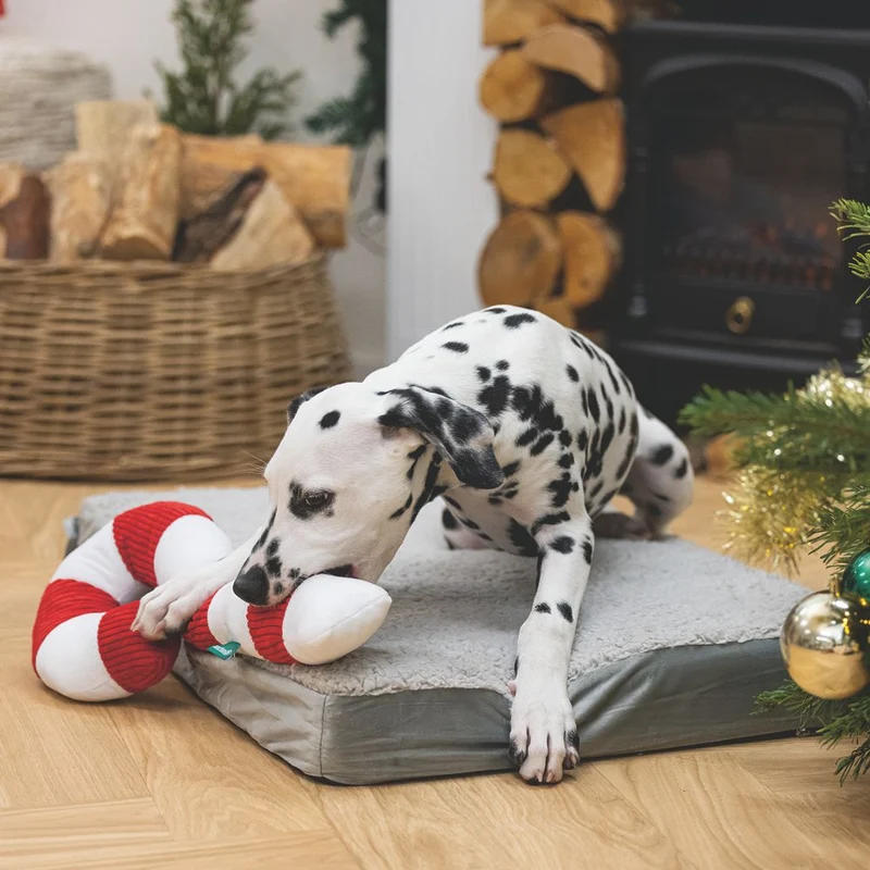 Beeztees XMAS Plüsch-Hundespielzeug Zuckerstange 33+50 cm Kuscheltier Plüschtier