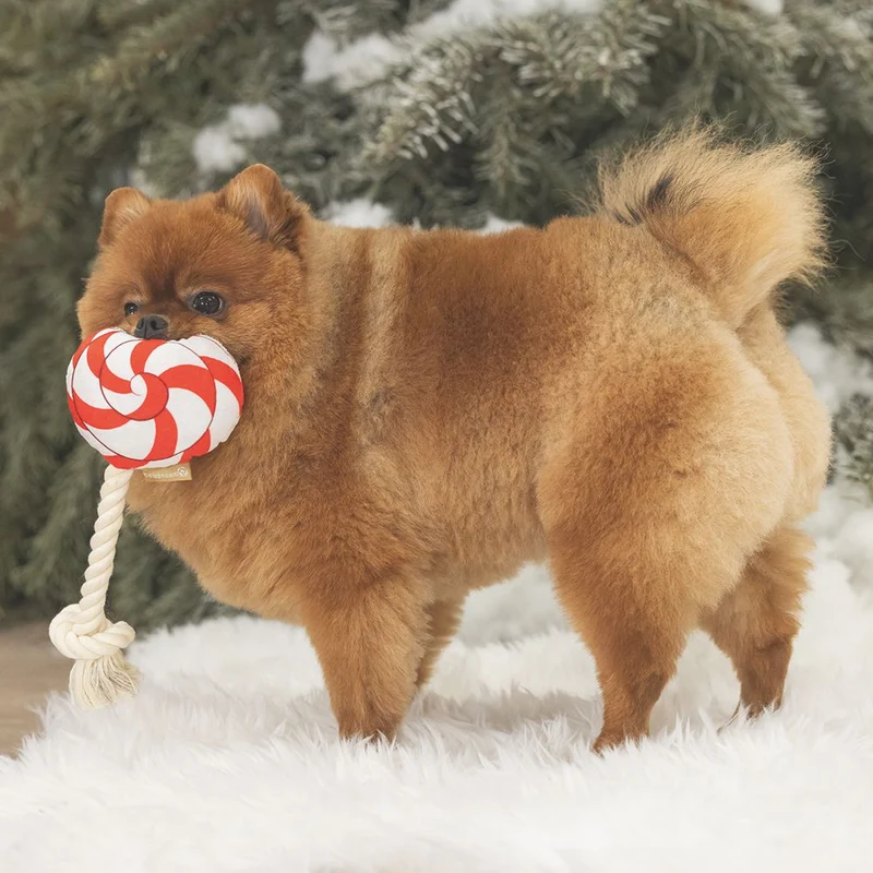 Beeztees XMAS Plüsch-Hundespielzeug Bonbon & Lutscher - Kuscheltier Plüschtier