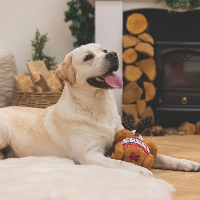 Beeztees XMAS Plüsch-Hundespielzeug Truthahn - 35 cm - Kuscheltier Plüschtier
