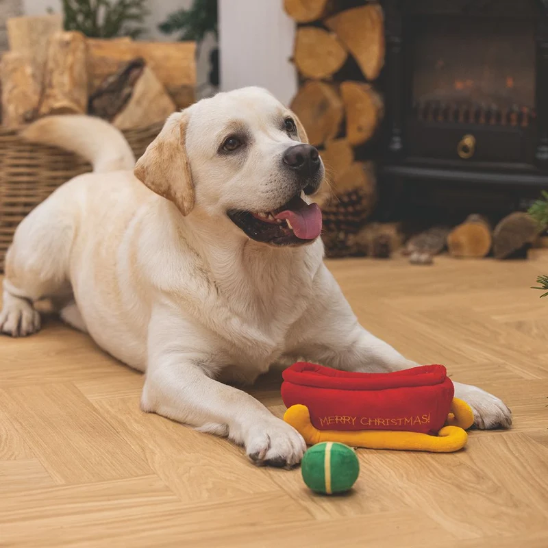 Beeztees XMAS Plüsch-Hundespielzeug Schlitten HIDE & SEEK - Geschenke knistert