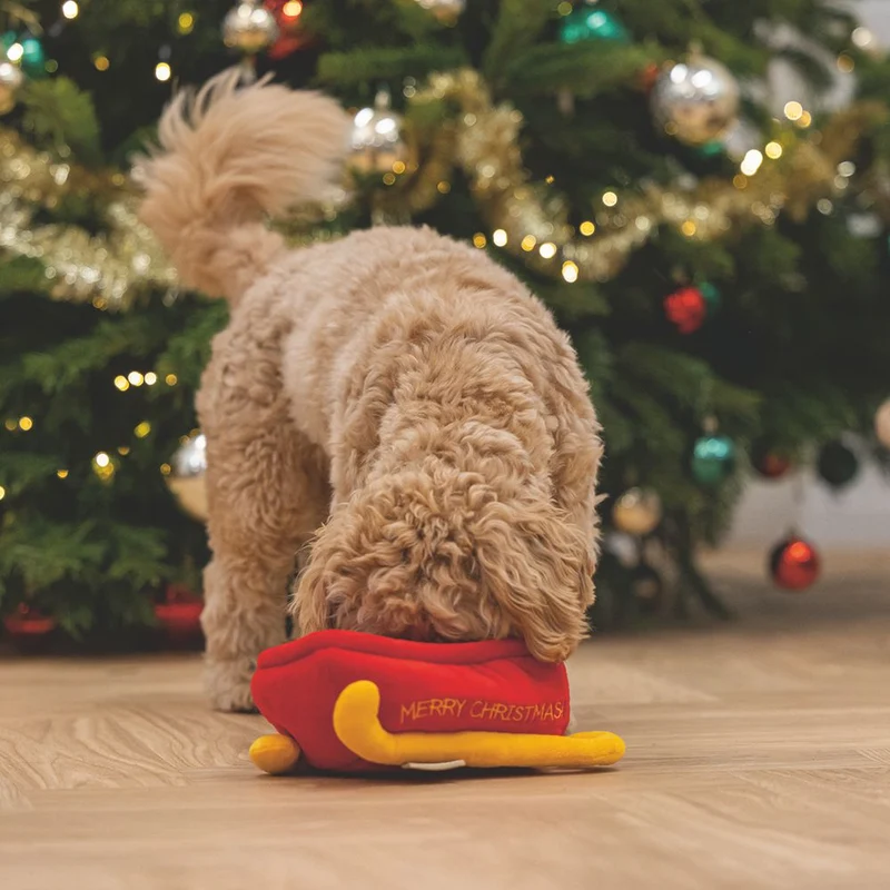 Beeztees XMAS Plüsch-Hundespielzeug Schlitten HIDE & SEEK - Geschenke knistert