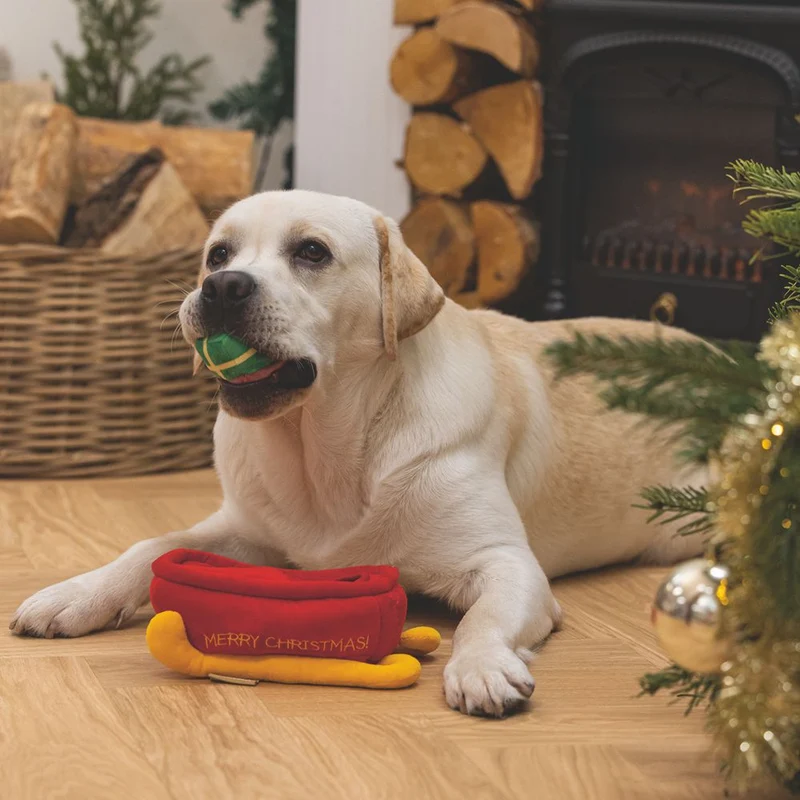 Beeztees XMAS Plüsch-Hundespielzeug Schlitten HIDE & SEEK - Geschenke knistert