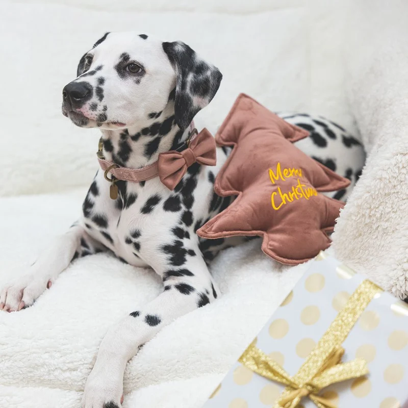 Designed by Lotte XMAS Hundespielzeug STERN & WEIHNACHTSBAUM - Samt - Kissen