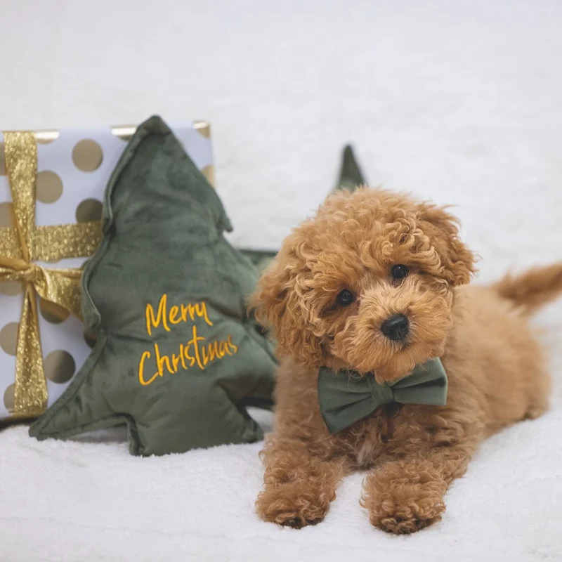 Designed by Lotte XMAS Hundespielzeug STERN & WEIHNACHTSBAUM - Samt - Kissen