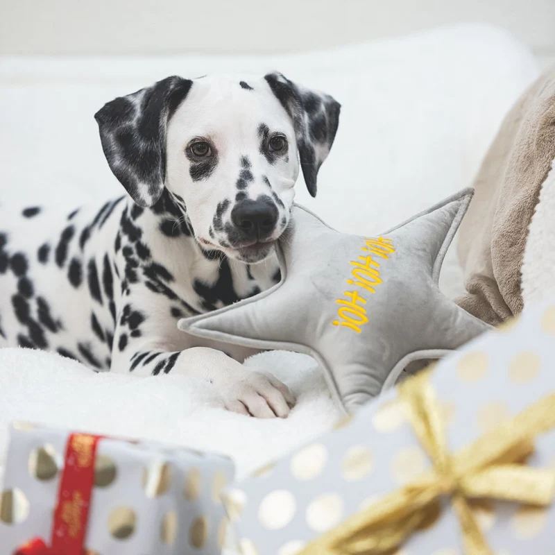 Designed by Lotte XMAS Hundespielzeug STERN & WEIHNACHTSBAUM - Samt - Kissen