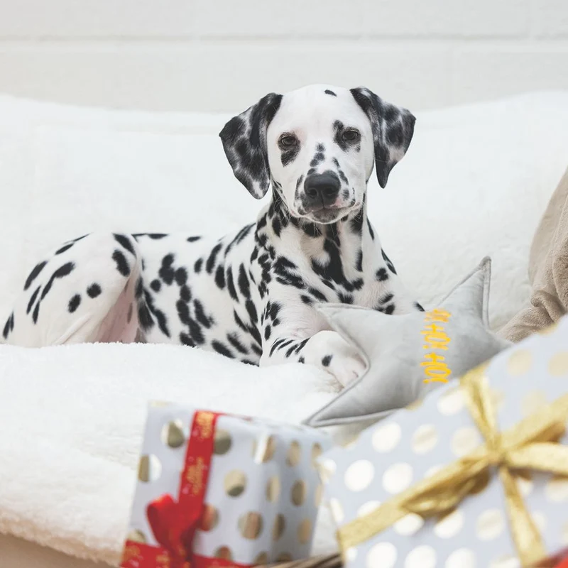 Designed by Lotte XMAS Hundespielzeug STERN & WEIHNACHTSBAUM - Samt - Kissen