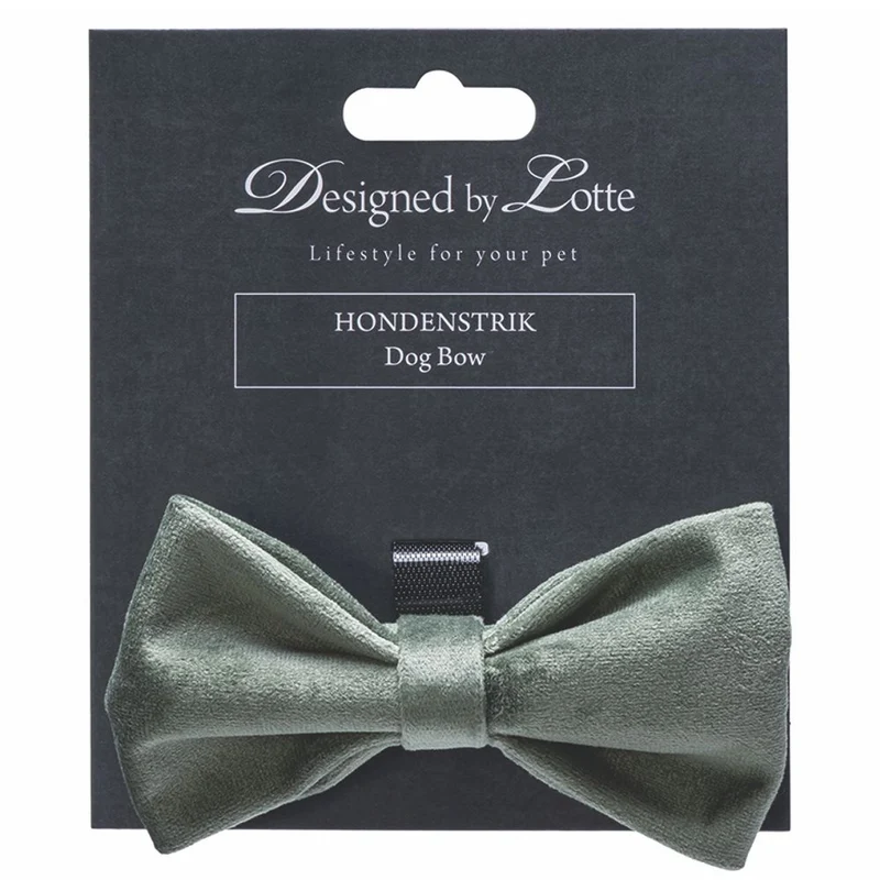 Designed by Lotte Hundeschleife ZAZA - Samt - Fliege für Halsband - Hund Katze