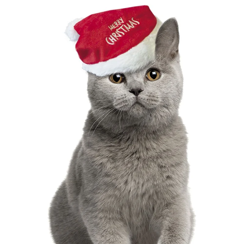 Nobby XMAS Plüsch-Mütze - 16 cm hoch - für Hunde und Katzen - Weihnachtsmütze