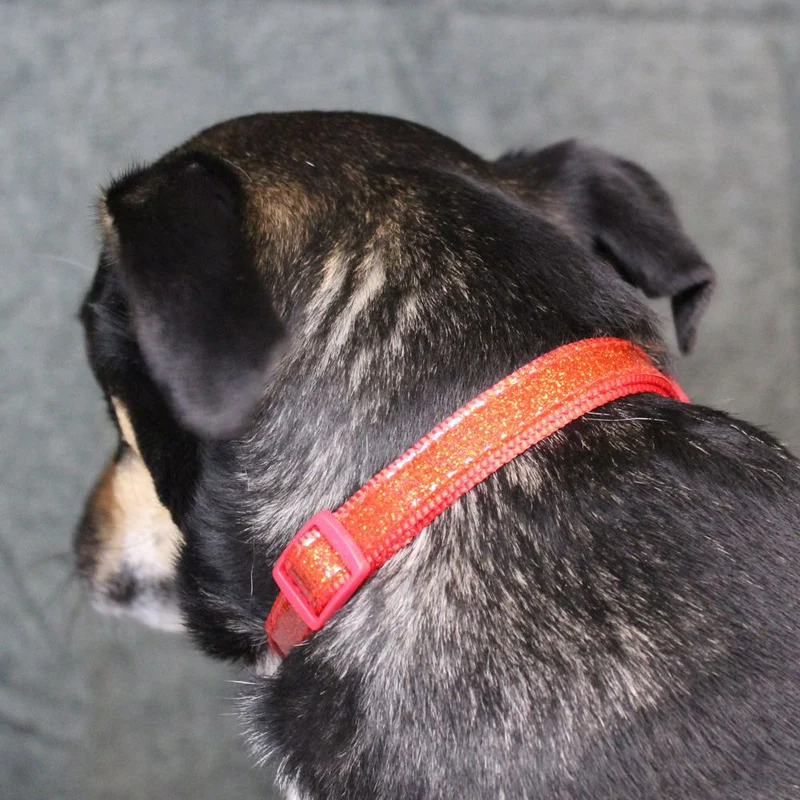 Nobby XMAS Halsband mit Schleife - S/M/L - Hundehalsband Weihnachten Fliege