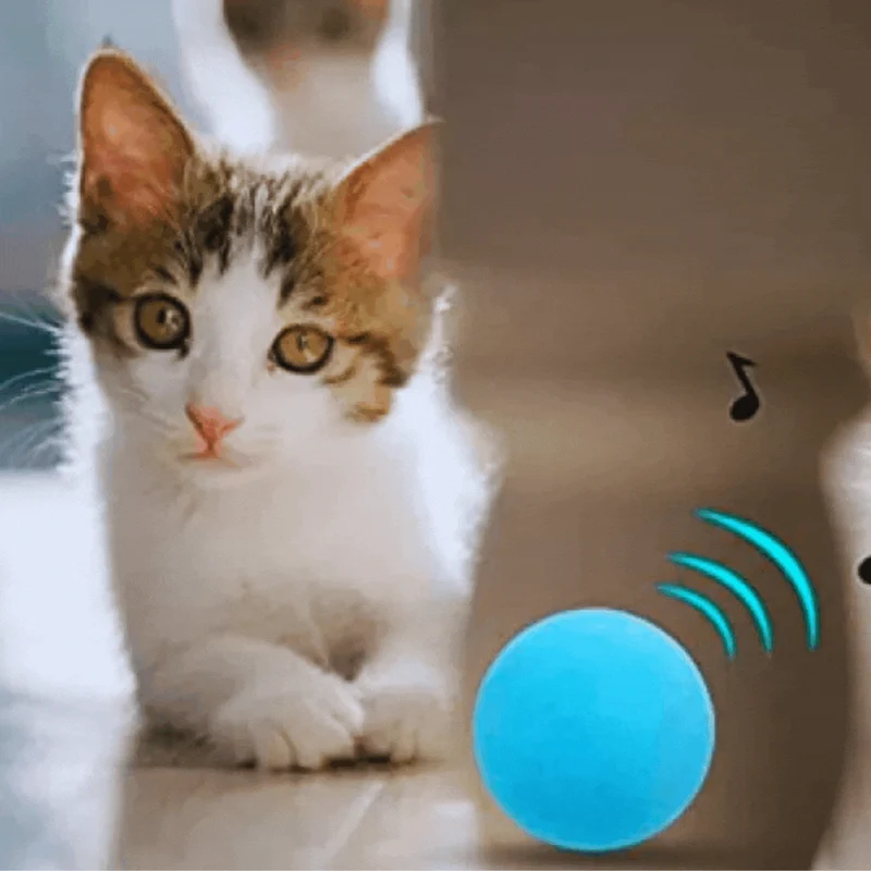 Interaktiver Katzenball mit Musik und LED-Lichtern für Katzen – Spielzeug für Haustiere