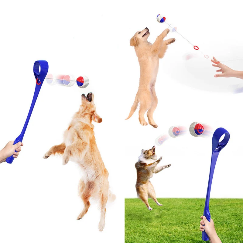 Hundespielzeug Wurfspiel für Hunde mit Ballwurf Stab