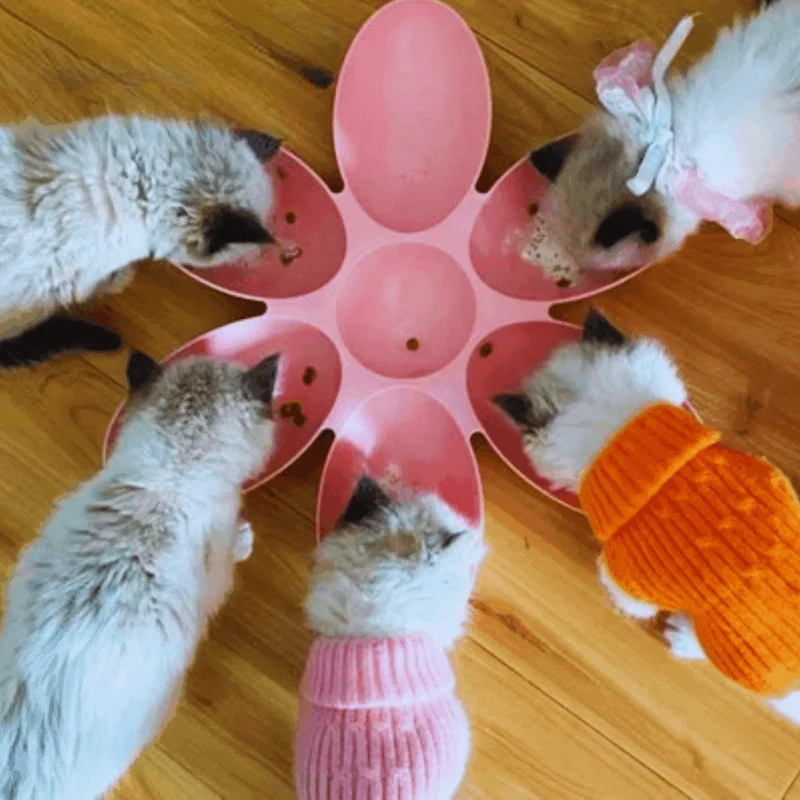 Blumenförmiger Futterteller für Katzen – 6 Schalen In Verschiedenen Farben