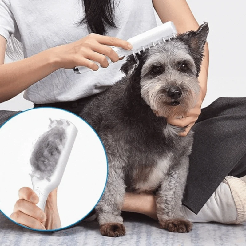 Elektrische Massagebürste für Haustiere mit USB-Aufladung und Fellpflegefunktion