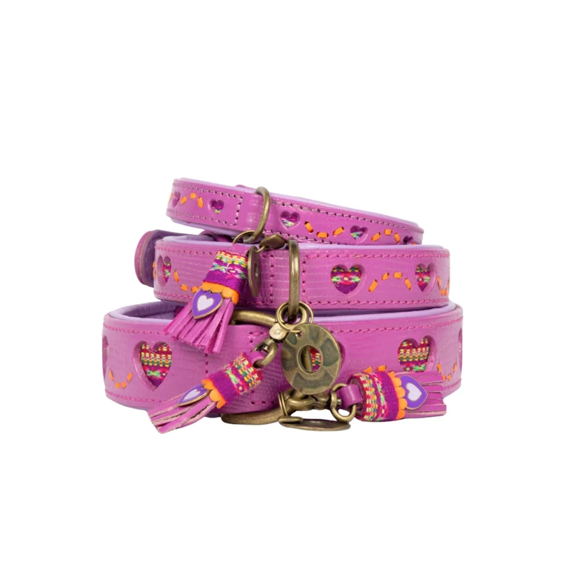 Hundehalsband, Spice