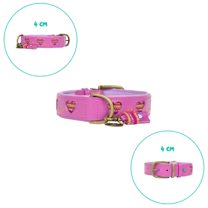 Hundehalsband, Spice