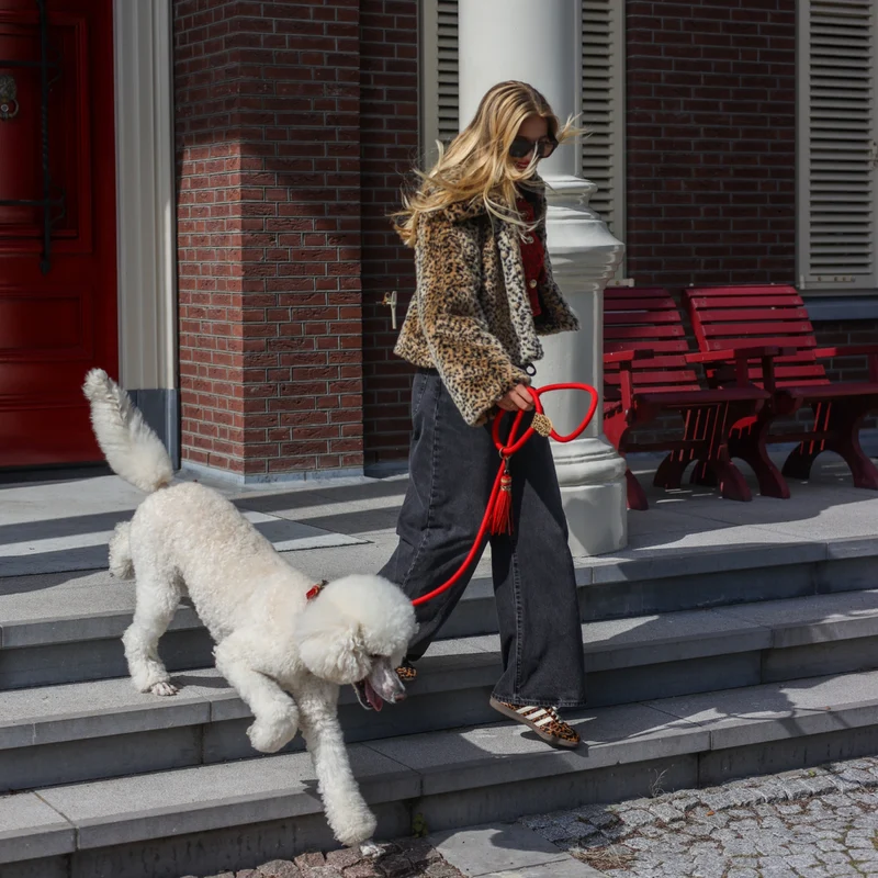 Hundeleine, Gypsy