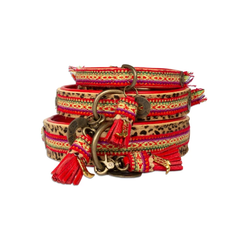 Hundehalsband, Gypsy