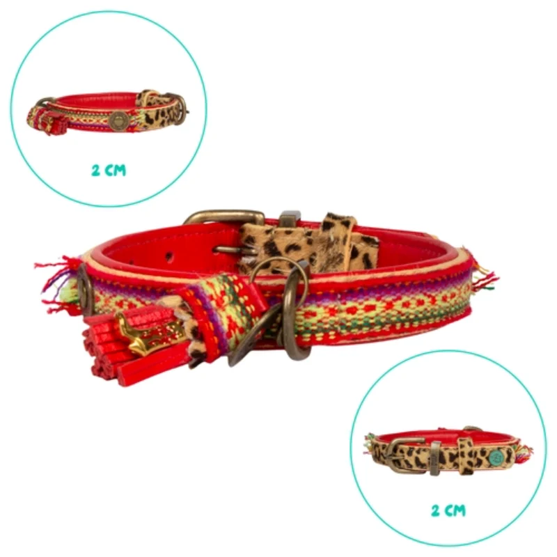 Hundehalsband, Gypsy