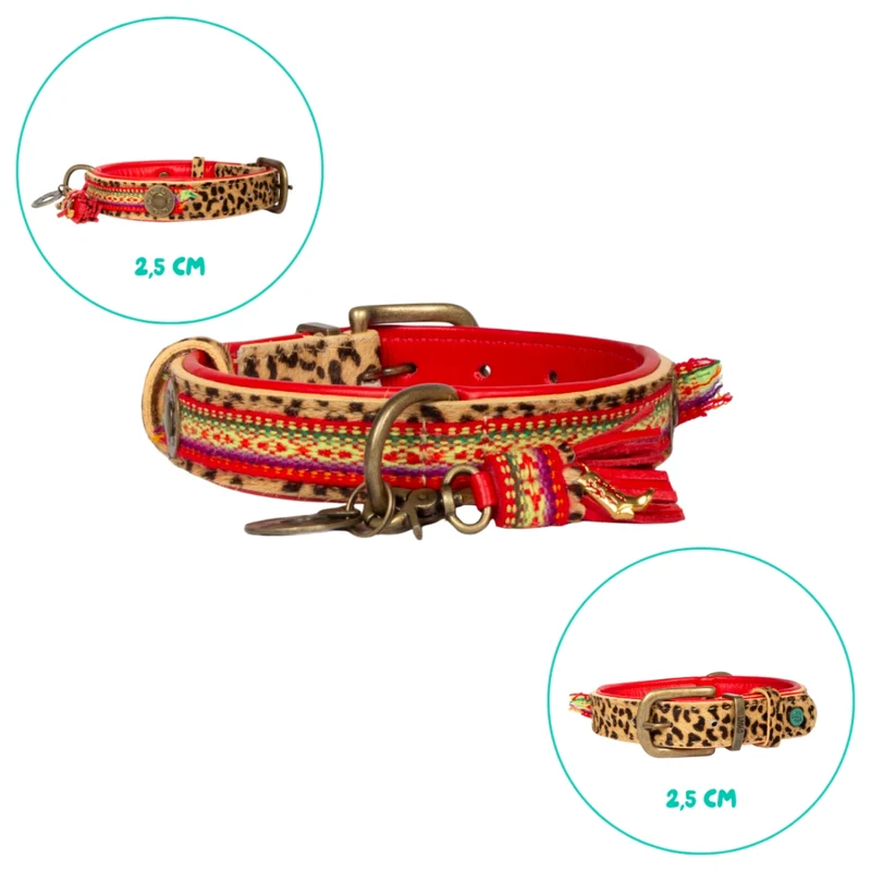 Hundehalsband, Gypsy