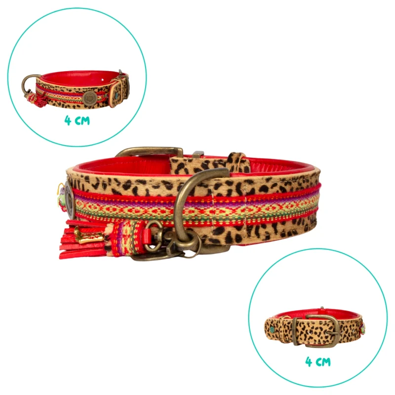 Hundehalsband, Gypsy