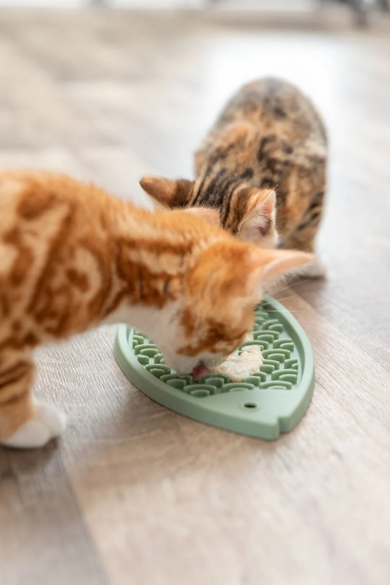 Lick'n'Snack Schleckmatte in Fischform für Katzen