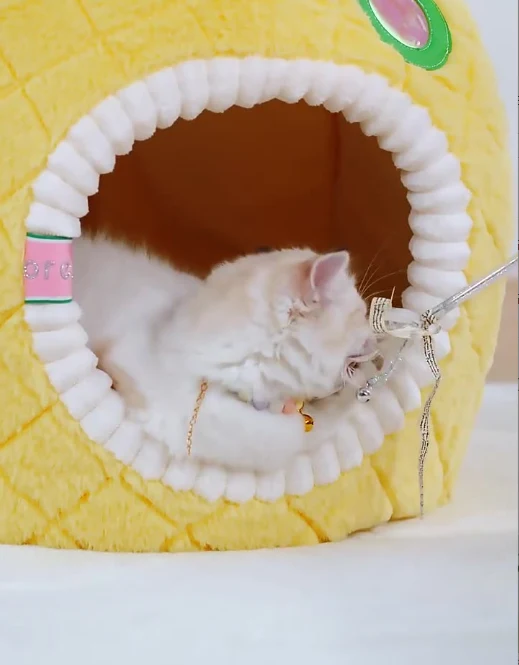 Katzenhöhle Ananas – Weiche und Gemütliche Schlafhöhle für Katzen, Haustierbett für Katzen im Frucht-Design