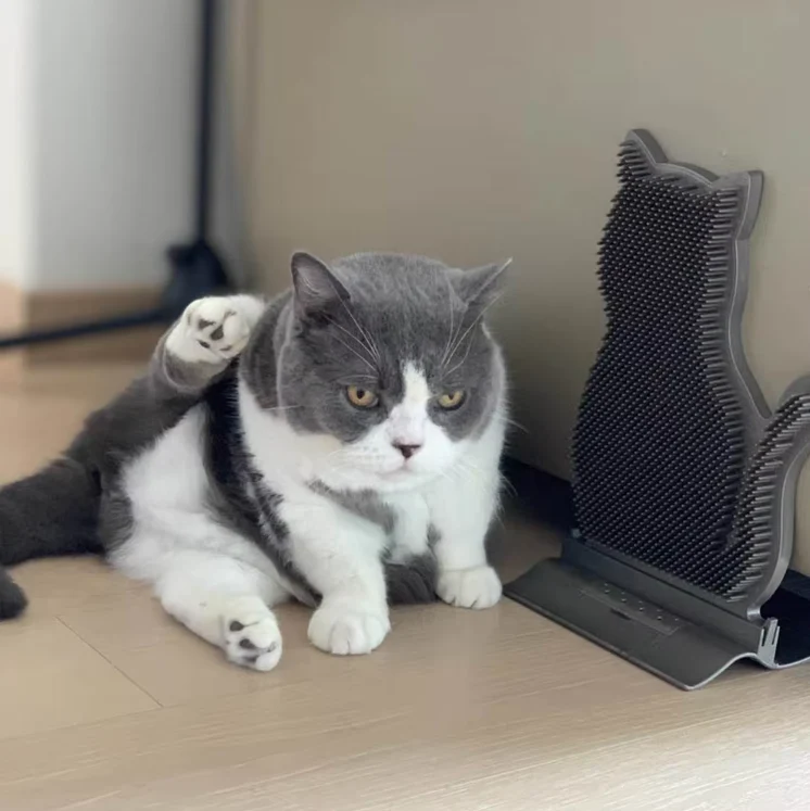 Katzenform Silikon Handtuchhalter mit Anti-Rutsch-Funktion