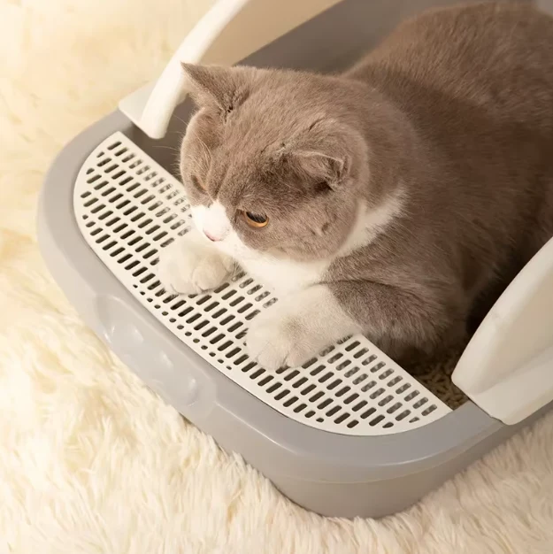 Katzenstreu Schale mit Hohem Rand – Praktisch und Hygienisch
