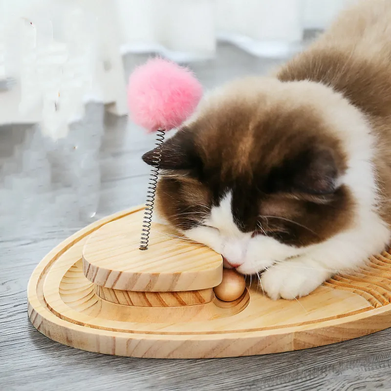 Katzenspielzeug Kratzbrett aus Holz – Interaktive Spielmatte mit Feder und Ball