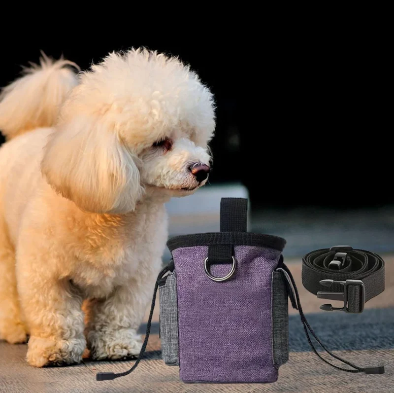 Hundetasche mit Faltbarem Napf – Tragbarer Beutel für Snacks und Zubehör