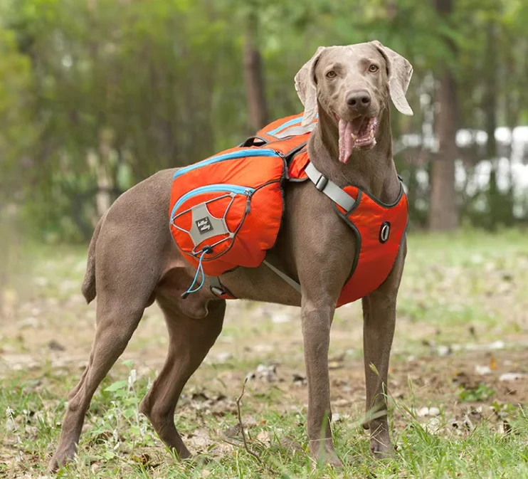 Hundewanderrucksack mit Wasserfesten Taschen – Tragbare Hundetrage für Outdoor-Aktivitäten