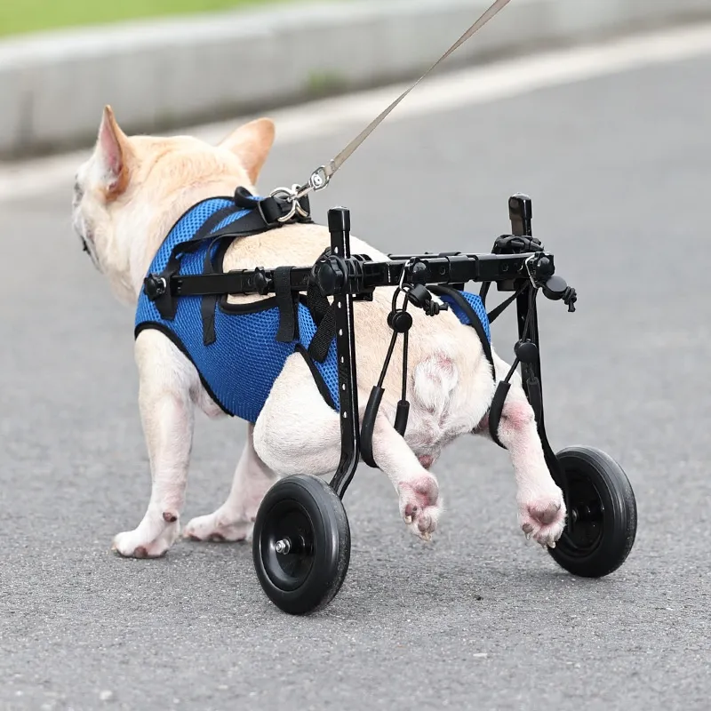 Hundehilfe-Gehhilfe für Katzen und Hunde – Rollstuhl für Mobilität und Unabhängigkeit