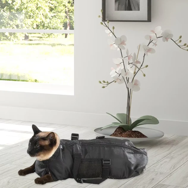Katzenpflege-Tasche für Krallenschneiden und Pflege – Bequem und Sicher