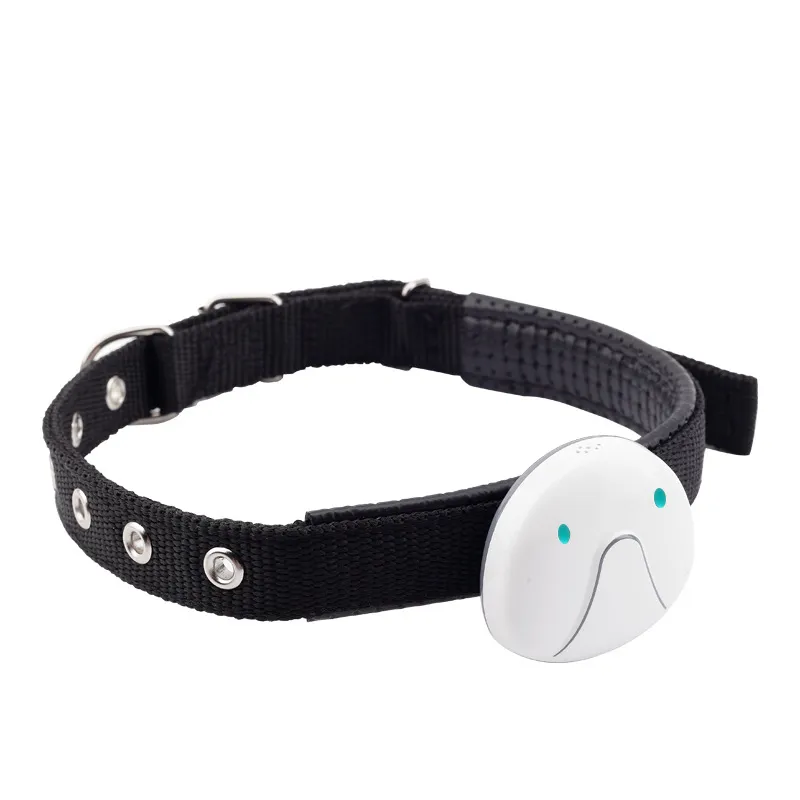 Hundehalsband mit GPS-Tracker – Einfach zu Befestigen und Zuverlässig