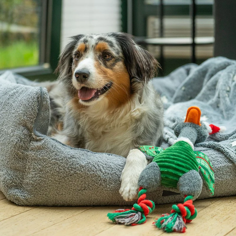 Nobby XMAS Plüsch Weihnachtsgans 48 cm - Hundespielzeug mit Schnatterstimme