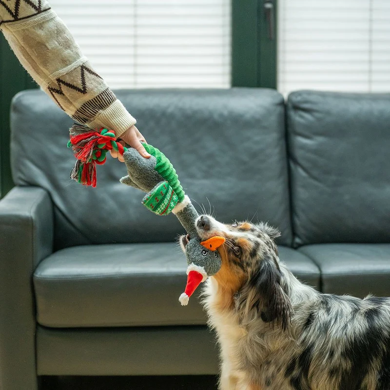 Nobby XMAS Plüsch Weihnachtsgans 48 cm - Hundespielzeug mit Schnatterstimme
