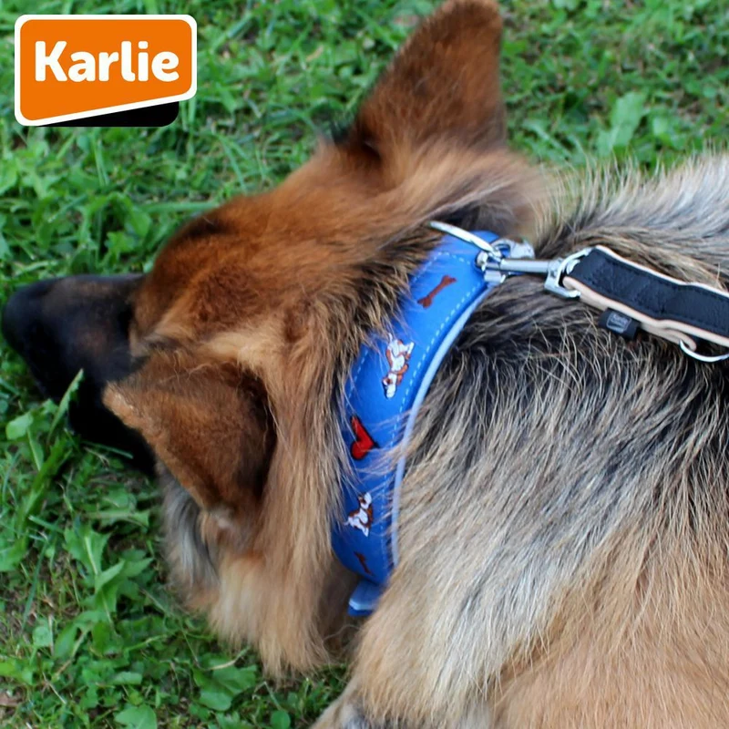 Karlie Leder Halsband - XXS/XS/S/M/L/XL - Vollrindleder mit Filz - Hundehalsband