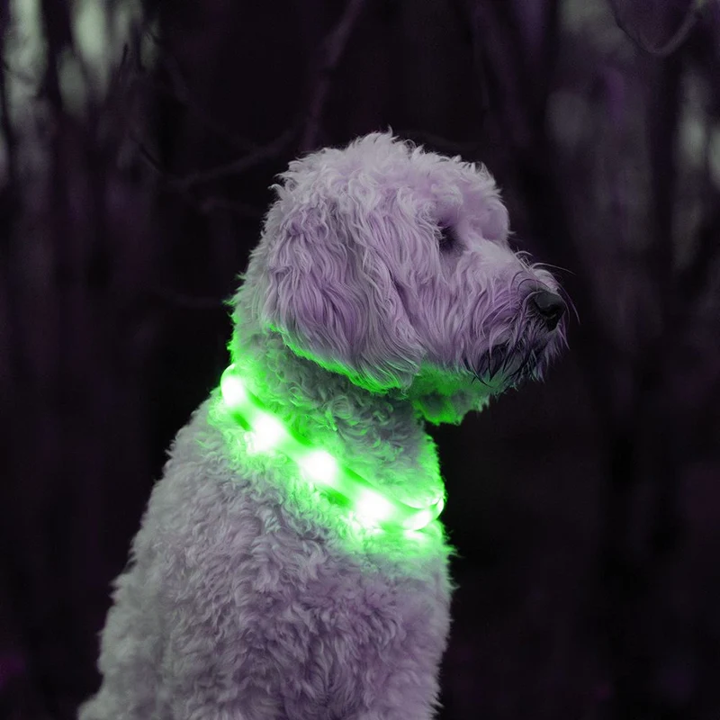Nobby LED Leuchthalsband VISIBLE - S/M/L - Langhaar - Silikon Leuchtband Hund