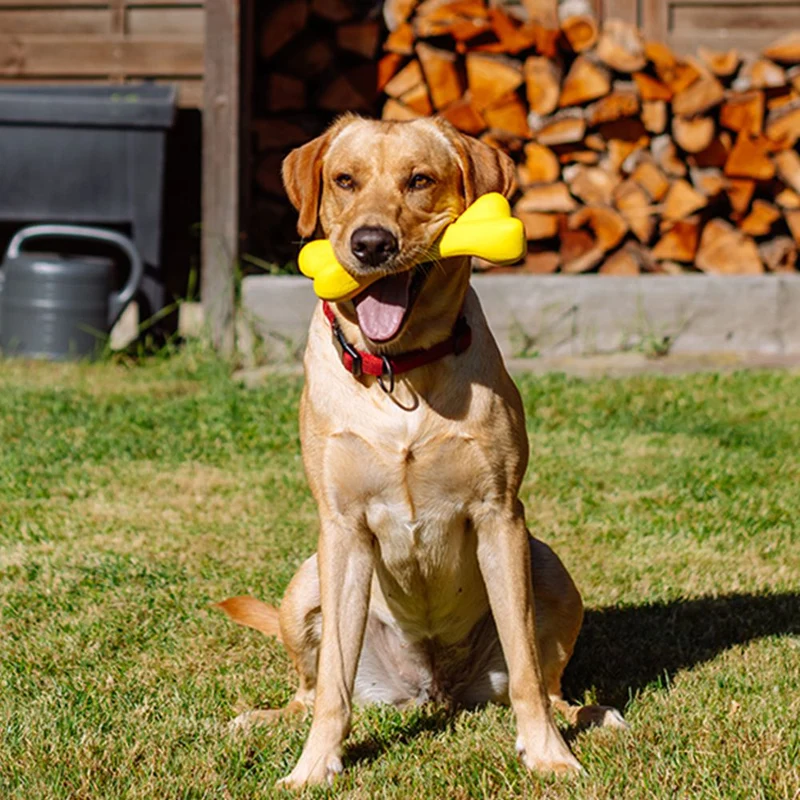 Nobby Vollgummi Knochen - flexibles Kauspielzeug - Hundespiel Zahnpflege