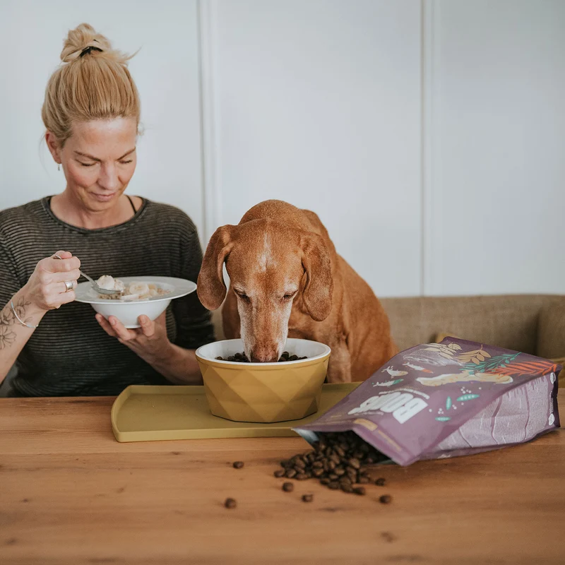 Hundefutter Boons Lachs (für ausgewachsene Hunde)