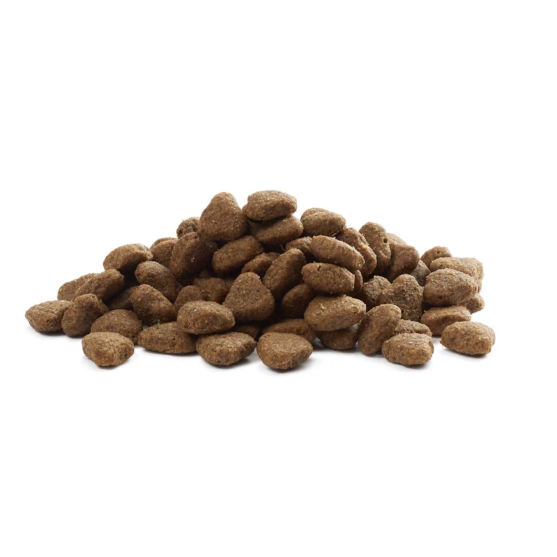 Hundefutter Boons Pute (für ältere Hunde)