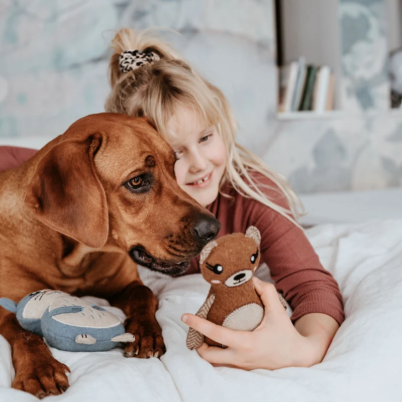 Hundespielzeug Fyn