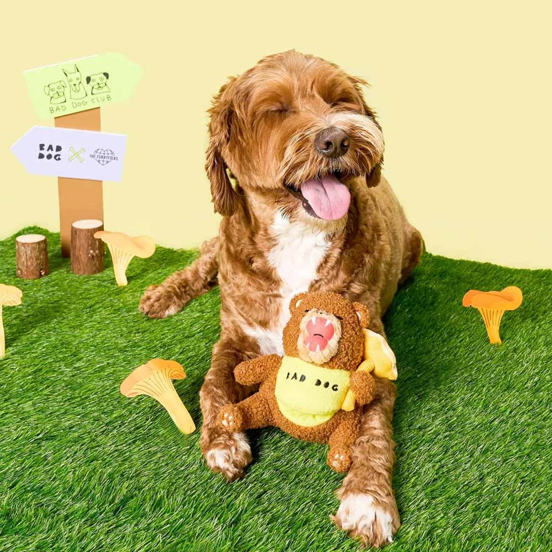 Hundespielzeug, Happy Bear Tofino