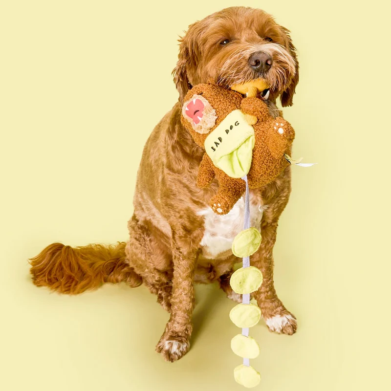 Hundespielzeug, Happy Bear Tofino
