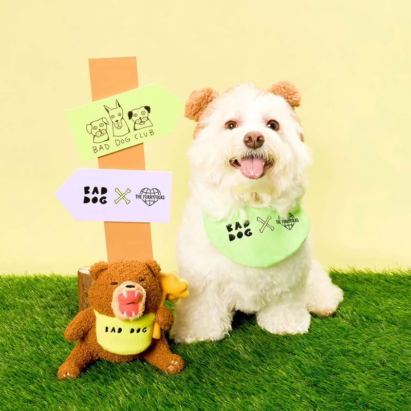 Hundespielzeug, Happy Bear Tofino