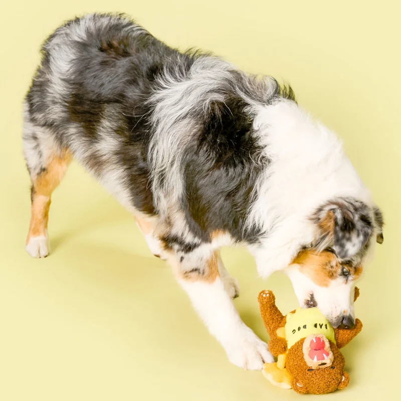 Hundespielzeug, Happy Bear Tofino
